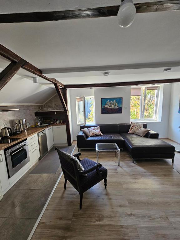 Potkrovlje Riki u centru Beograda - 2