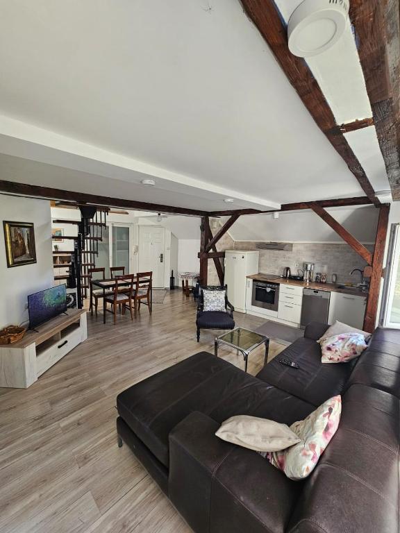 Potkrovlje Riki u centru Beograda - 3