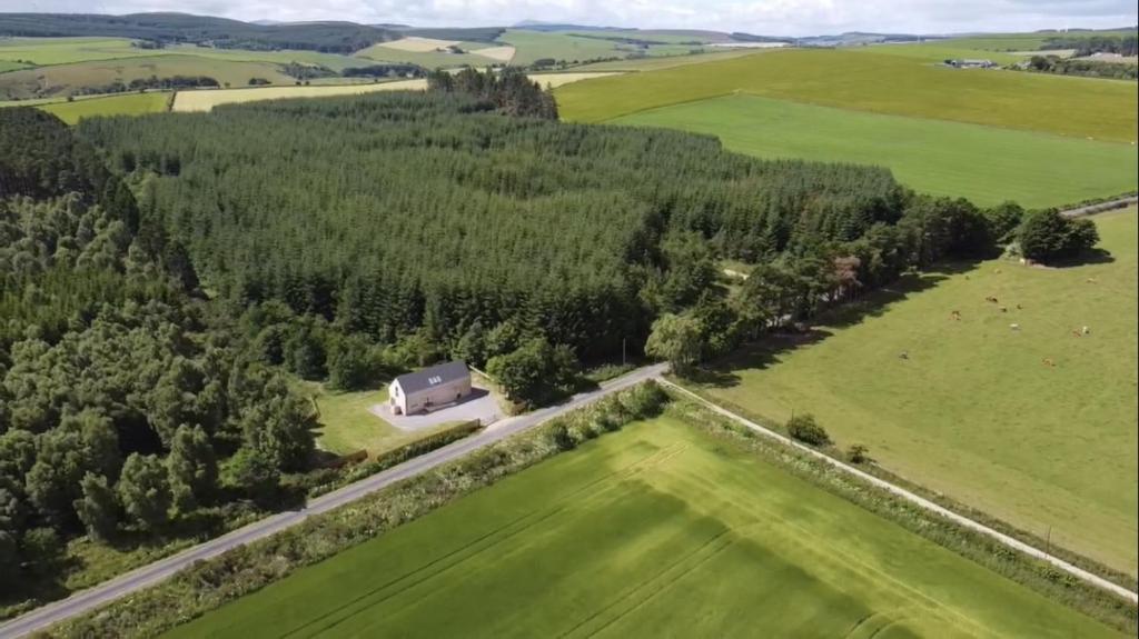 The Clearing, Huntly