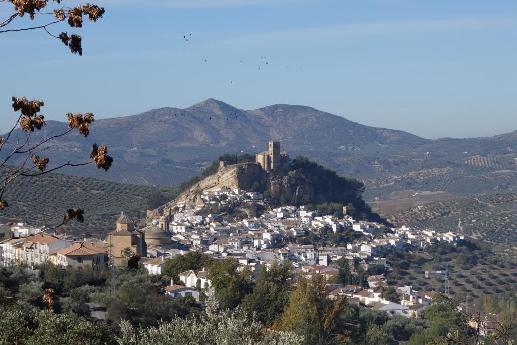 スポーツ/アクティビティ