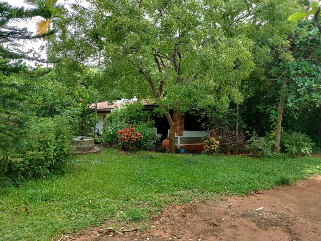 Surrounding environment