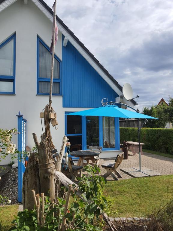 Ginster, Zingst