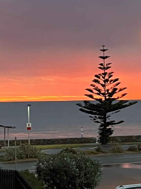 Moana Seaside Retreat - 2 Bedroom, spa , living area & pet friendly, Moana