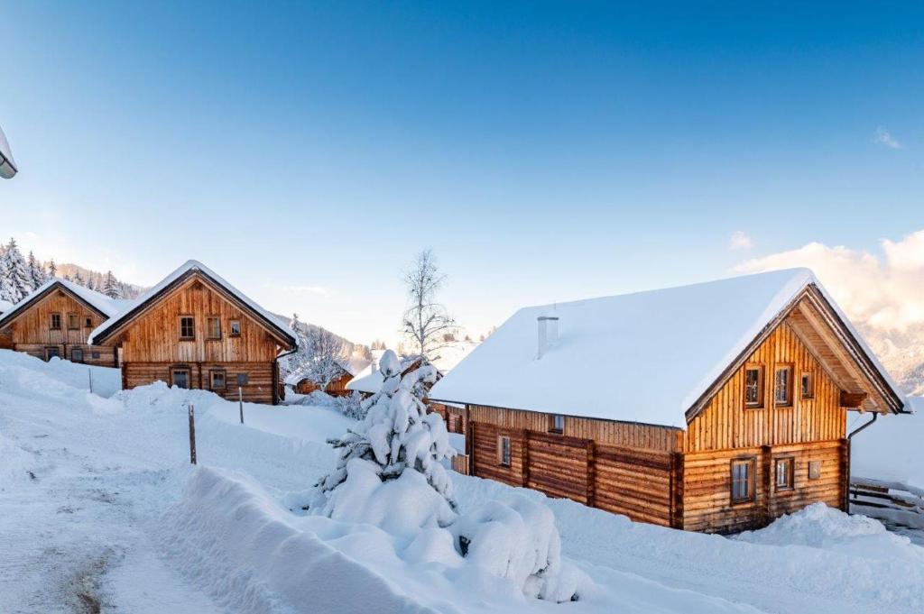 Chalet Dachsteinblick - 5