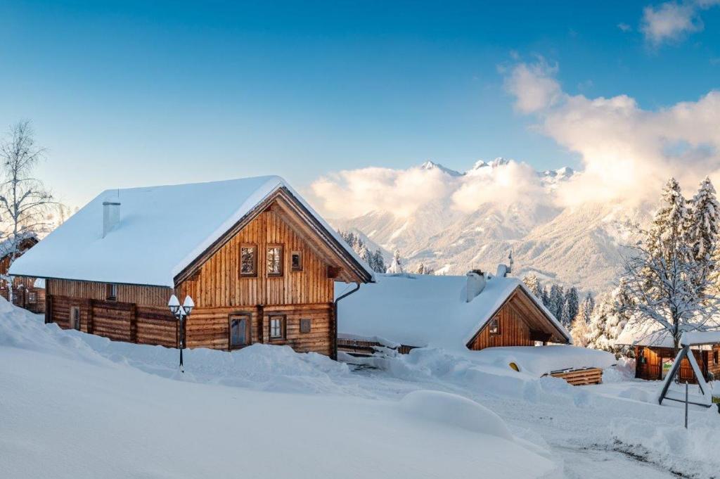 Chalet Dachsteinblick - 3
