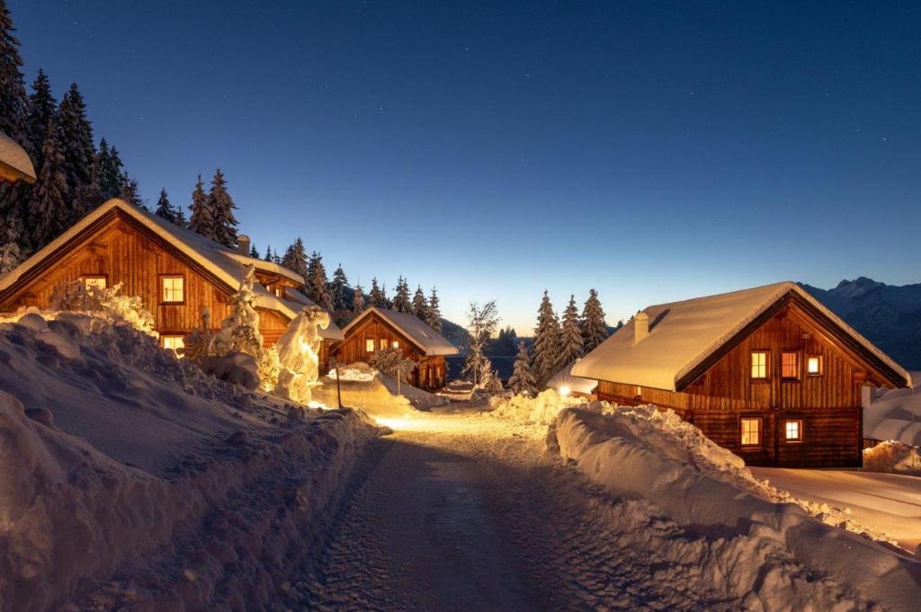 Chalet Dachsteinblick - 4