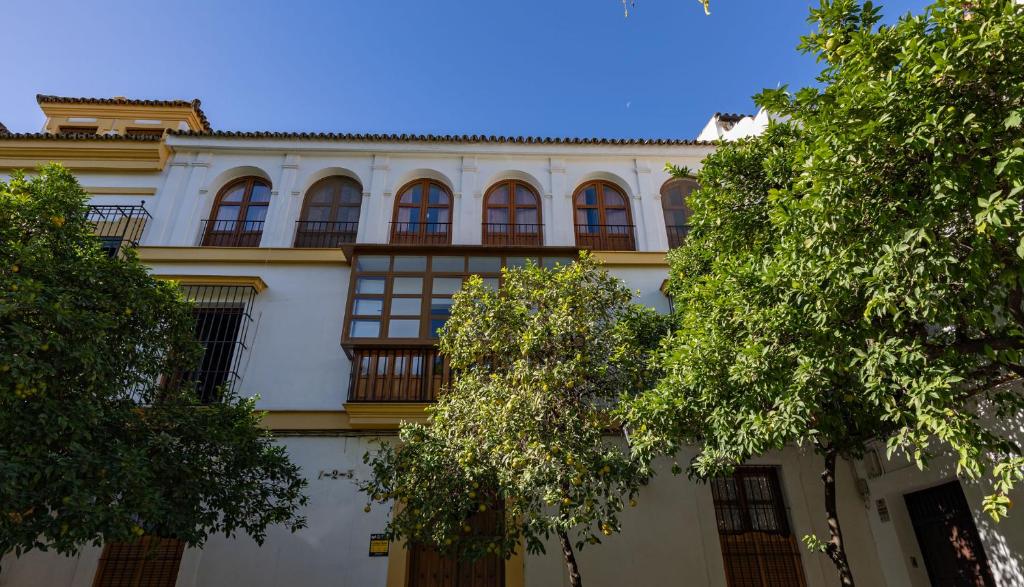 Santa Cruz Refinadores Suite by Valcambre - 3