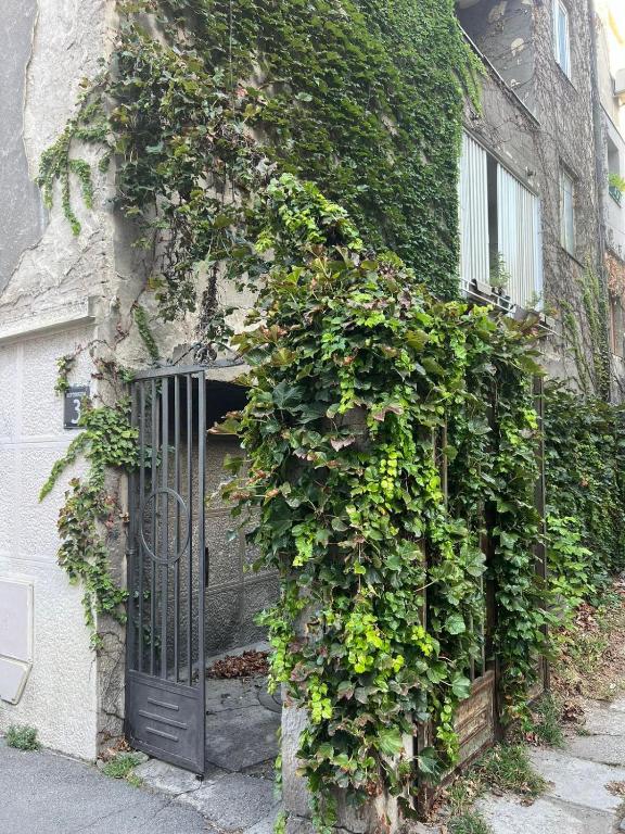 Kopernikova Studio - 2