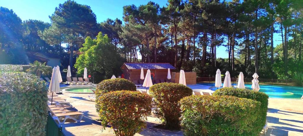 Au milieu des pins, charmant appartement de 38 m2 - 4 personnes - Domaine du Golf - 4