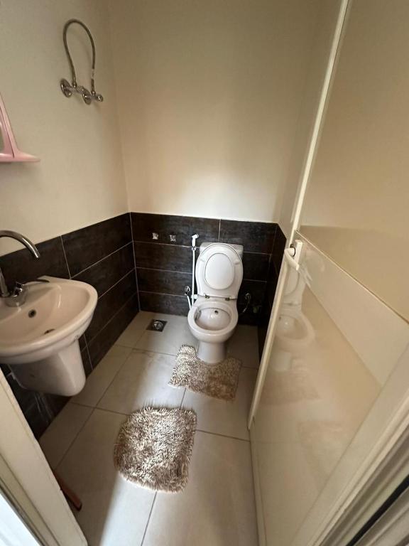 Acacia compound,new cairo, Káhira