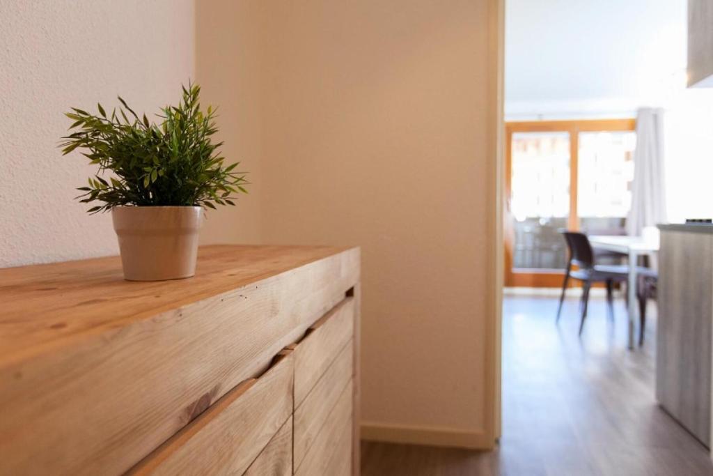 Résidence Signal Du Prorel - Studio rénové · Accès direct aux pistes · Wifi gratuit · Vue panoramique MAE-0614 - 5