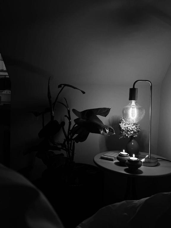 Apartament Zielony Stół, Hnězdno