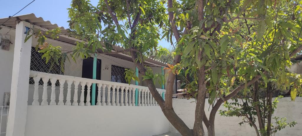 Apartaestudio Acuarium - 4