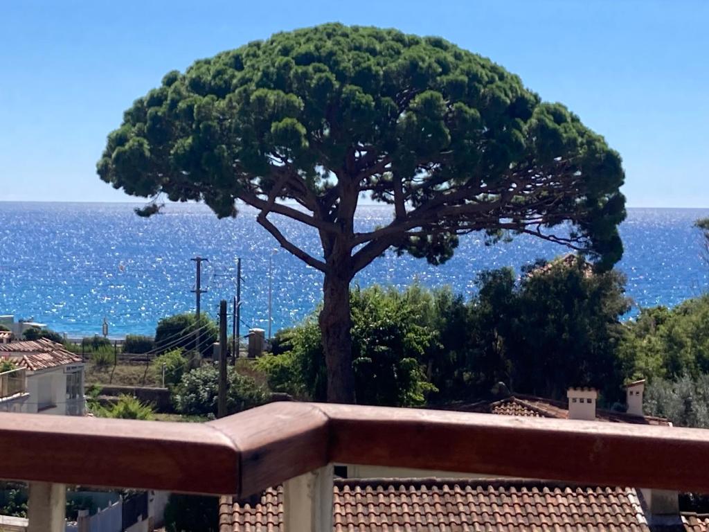 Cannes Beach Access, Private Room in Shared 3-Bedroom Apartment, Private Bathroom, Living Room with Sea View Suite Parentale salle de bain privée accès plages & vue mer du salon dans appartement partagé chez l'habitant - 1