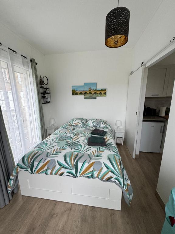 Cosy Loire, T2 neuf, front de Loire ,vue cathédrale,5min à pied centre ville et parking privé - 2