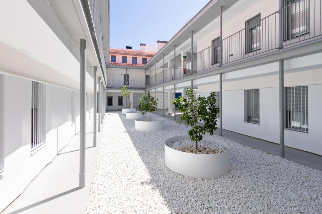 Triana Pages Oasis by Valcambre - 2