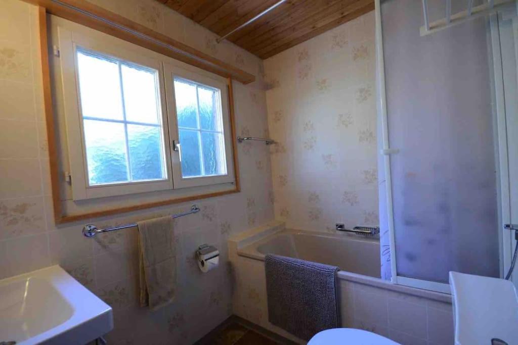 Swiss Traditional Chalet with Alpine Mtn View - 3
