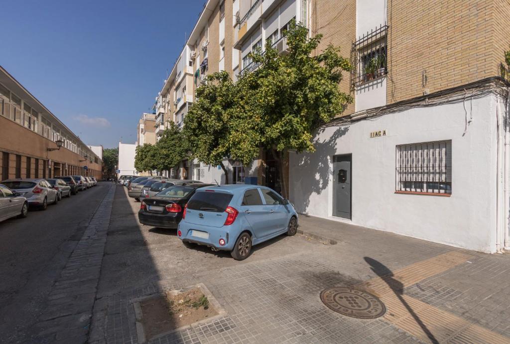 Justino Triana Central by Valcambre - 3