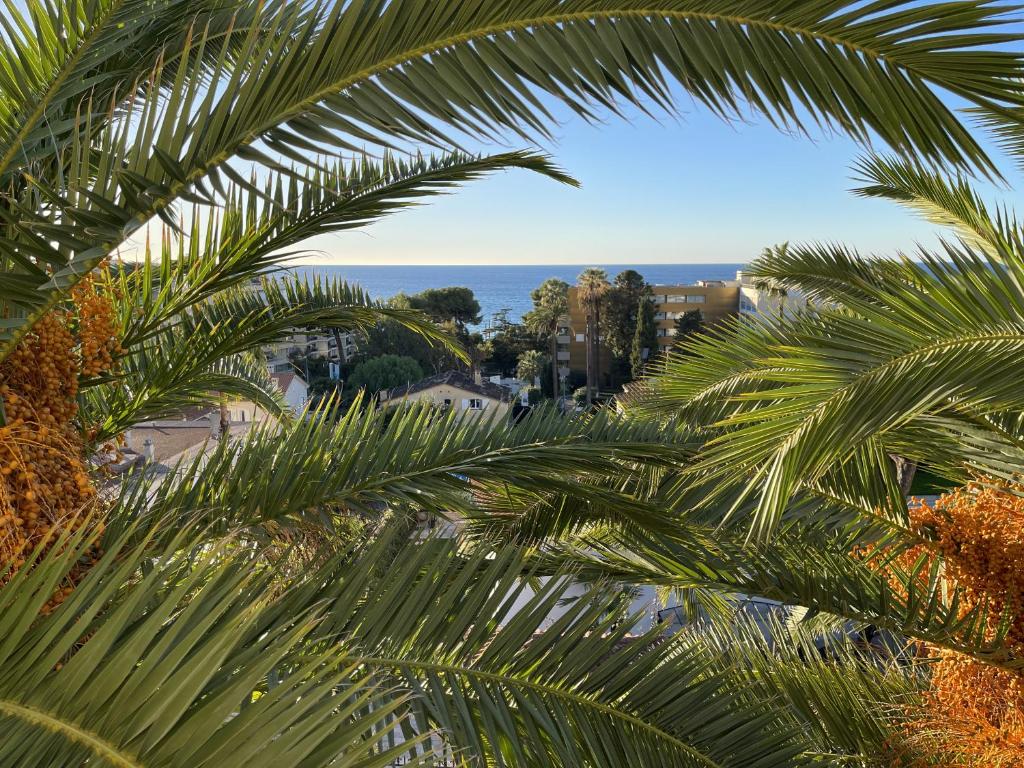 Vaste 4p Bord de mer, terrasse, piscine 263L DILLI - 5