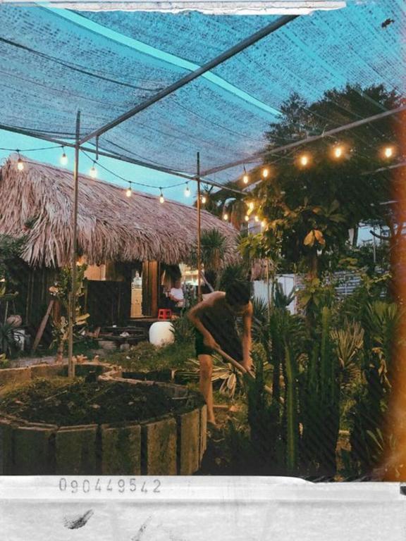 Cactos Bar & Homestay