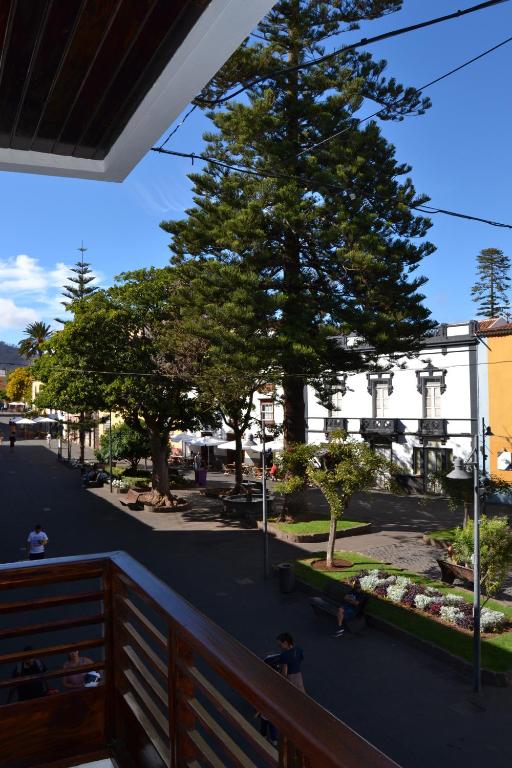 Araucaria3 - 5