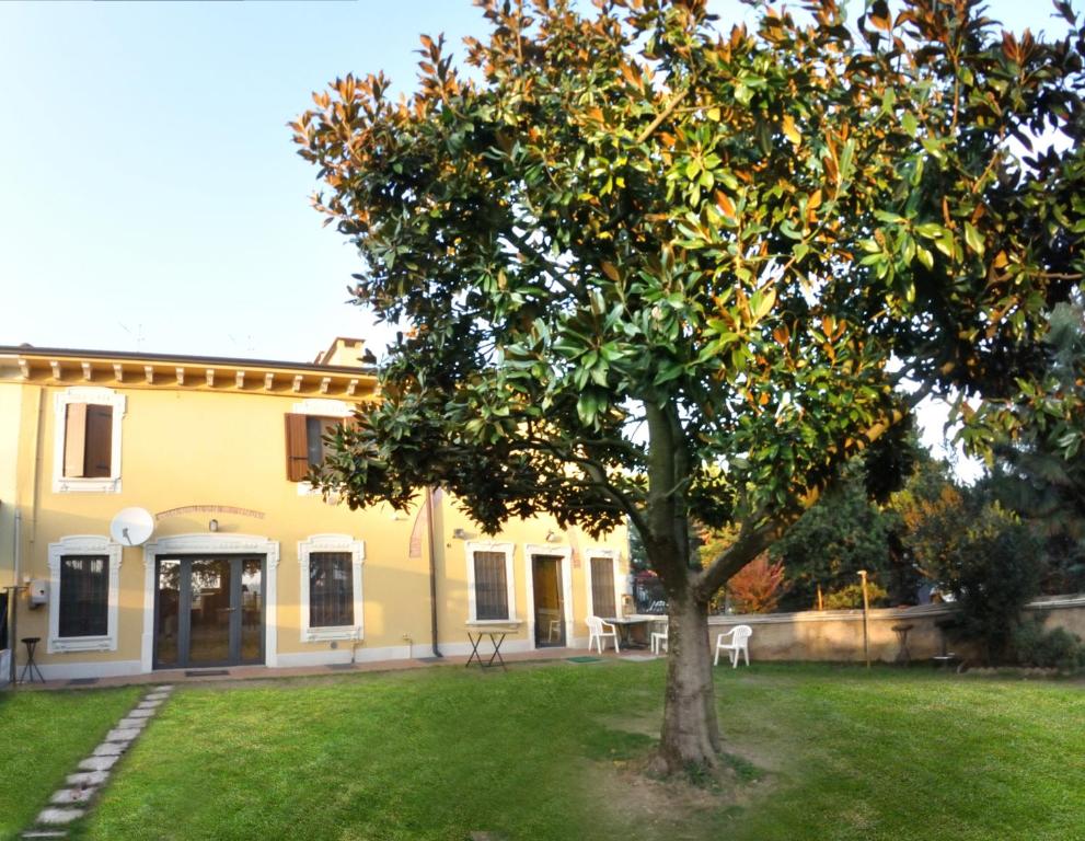 La Magnolia - 3