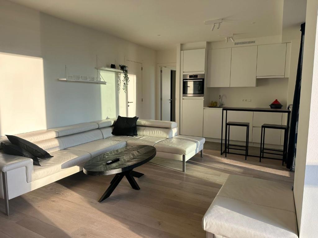 Luxurious Apartment with Panoramic View, Antverpy