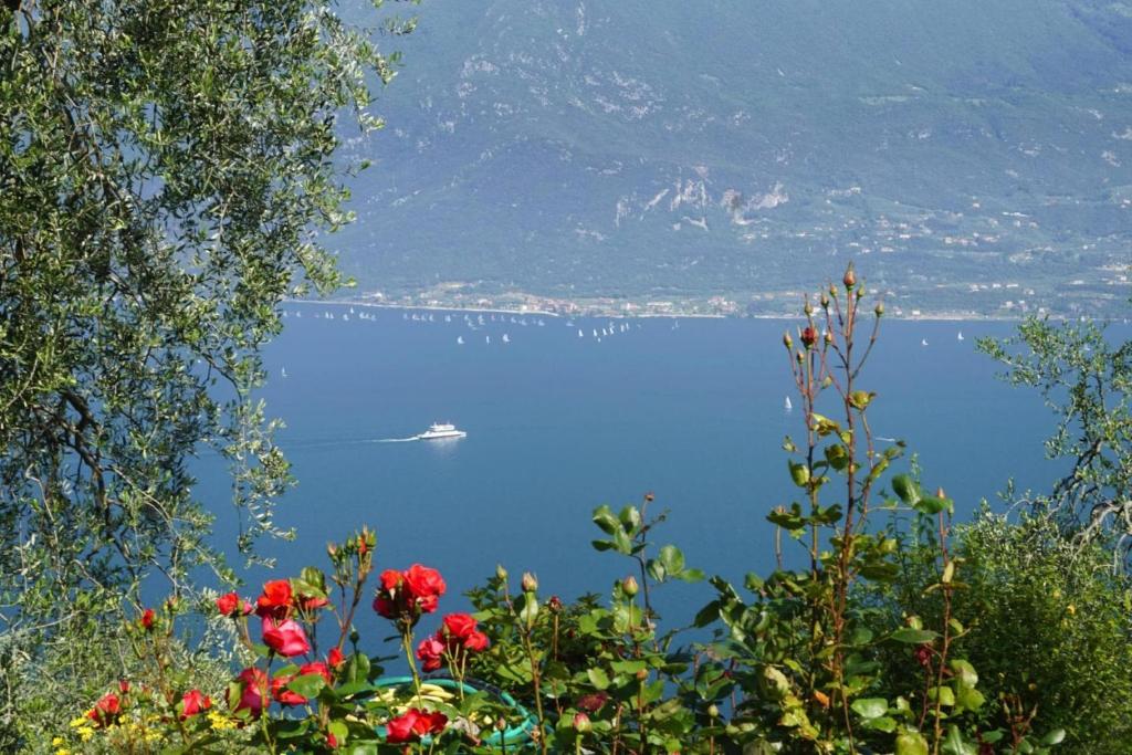Apartments Casa Tamas, Limone - 5