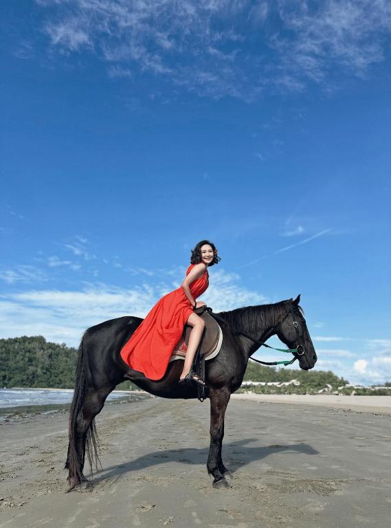 Equitazione/maneggio