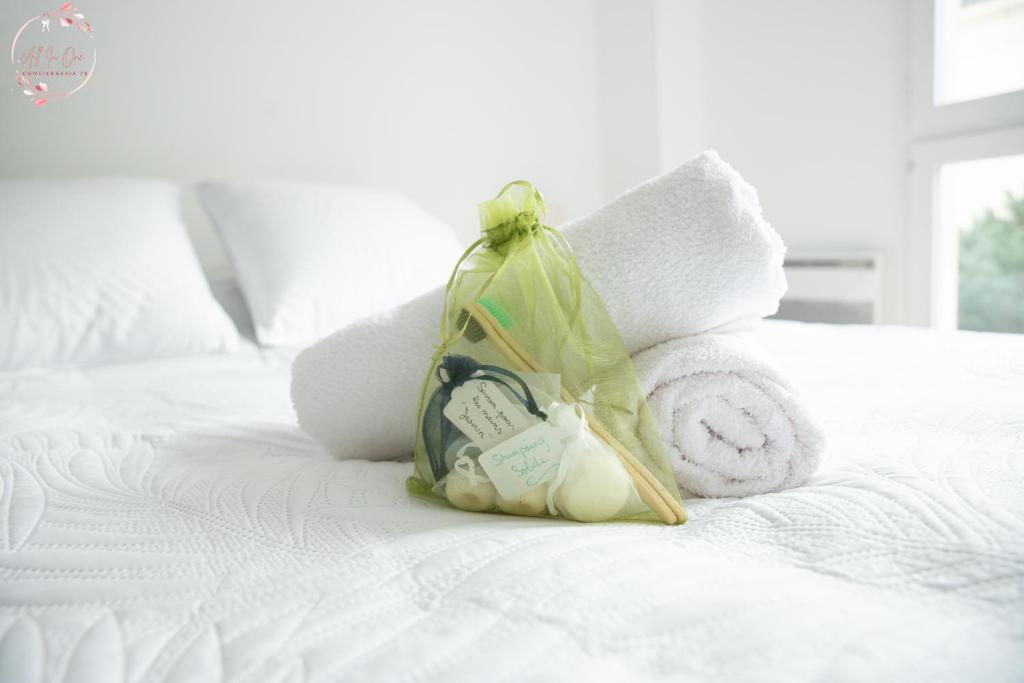 Hermès Apartment - Versailles Château, Versailles