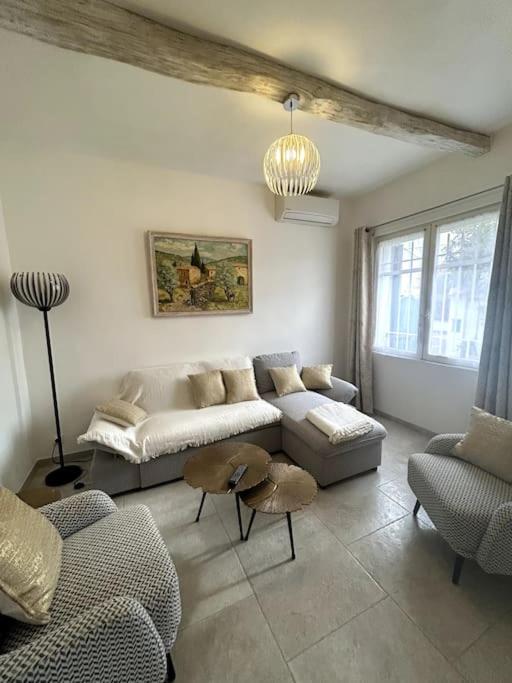 La villa bleue Arles jardin - 4