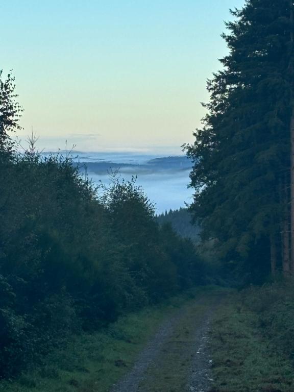 Studio Awenne, Saint-Hubert