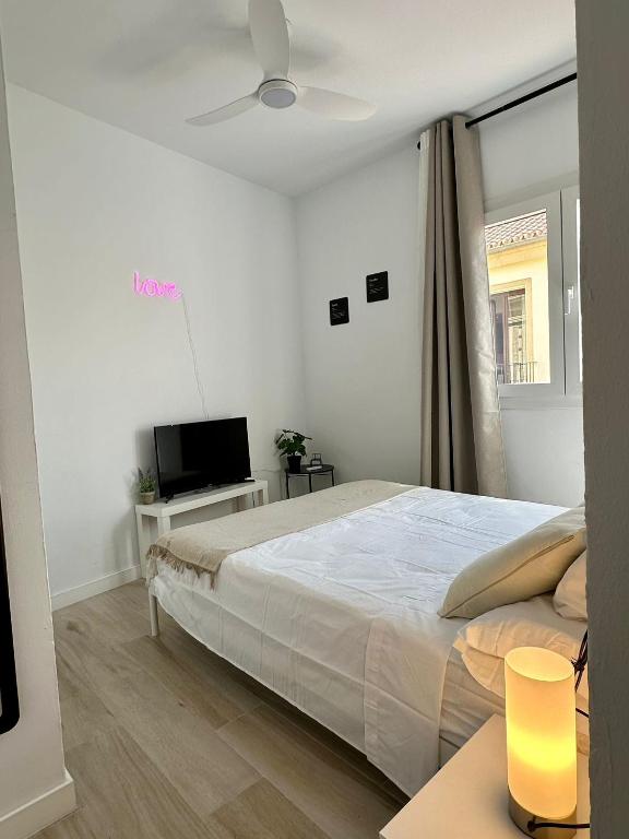 Apartamento con Solarium en Málaga Centro - 3