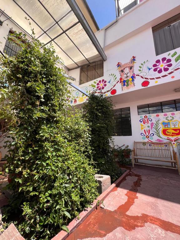 Cusco3casadefamilia - 2