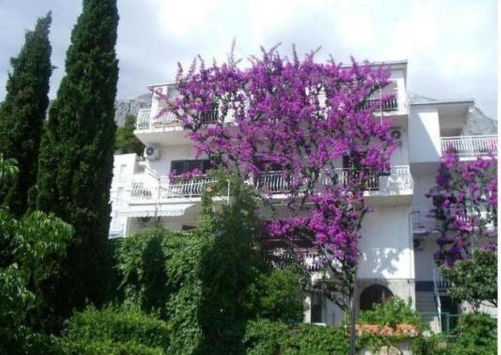 Apartments Josip II, Baška Voda