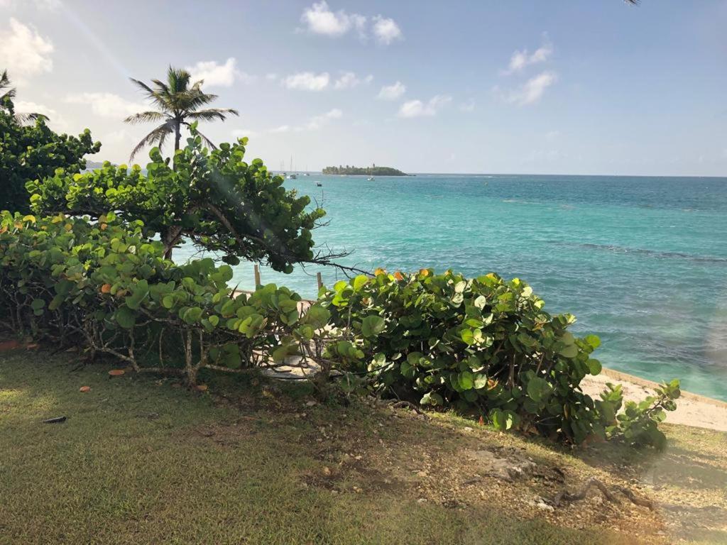 Beau studio lumineux vue mer accès plage et piscine, Le Gosier