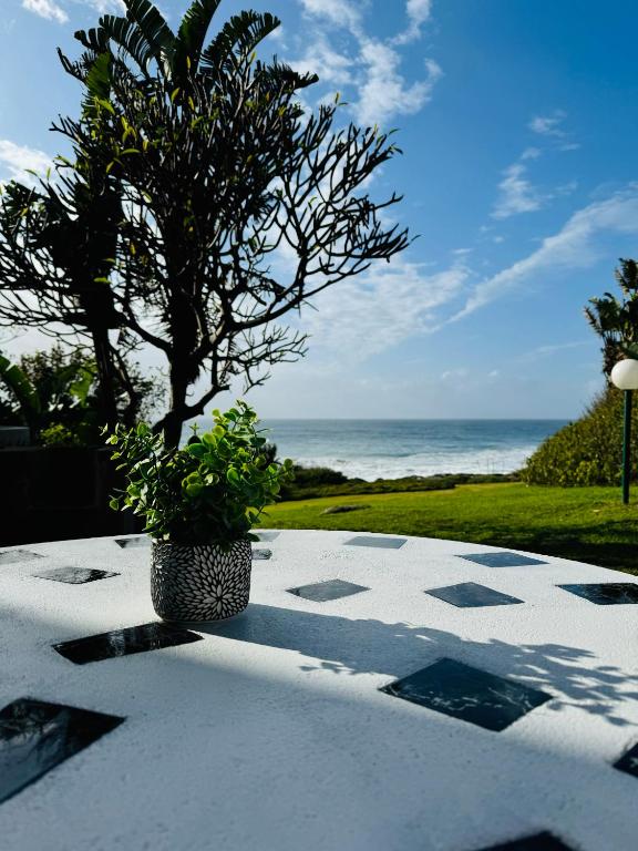 Rockshore at Seaverge, Port Edward