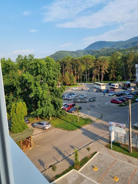 Apartman Jelena II - 3