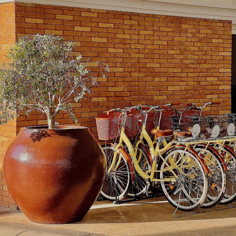 Sports and activities