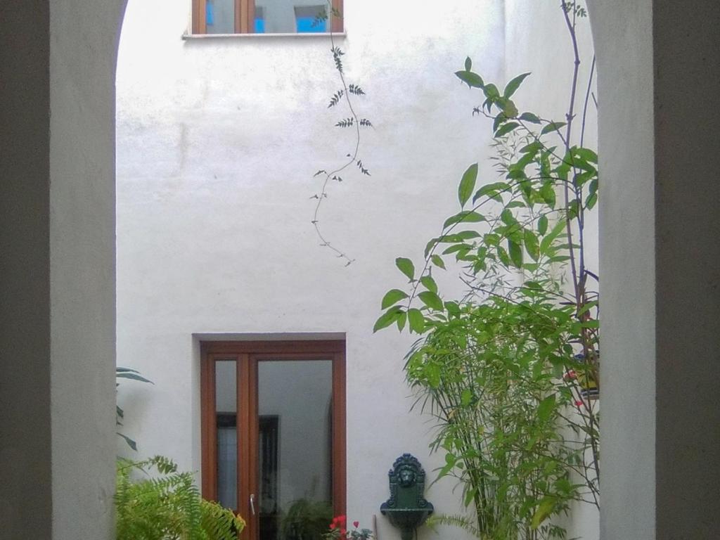 Casa Farándula - 3