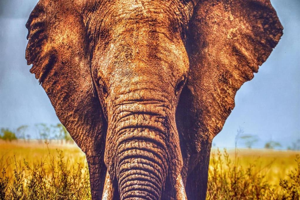 La Perla del Elefante by Homestaygrancanaria - 2
