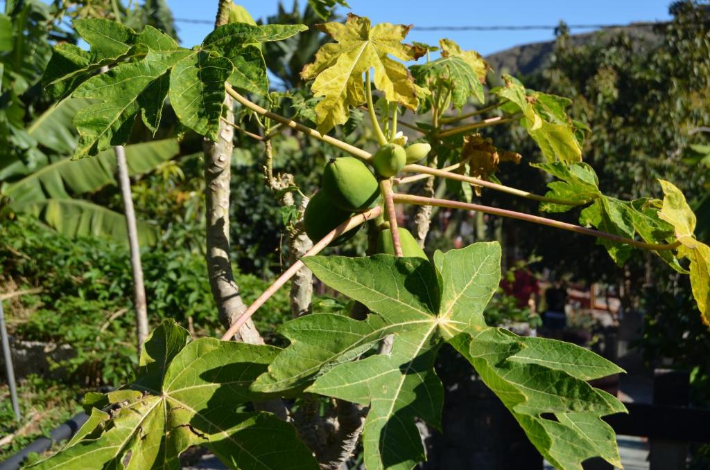 周辺観光スポット