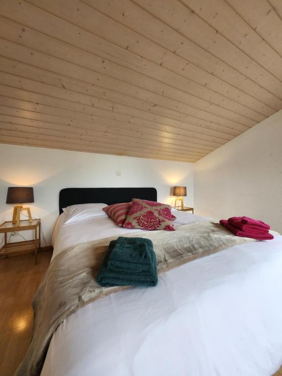 La Villa Joly - Avenches - 2