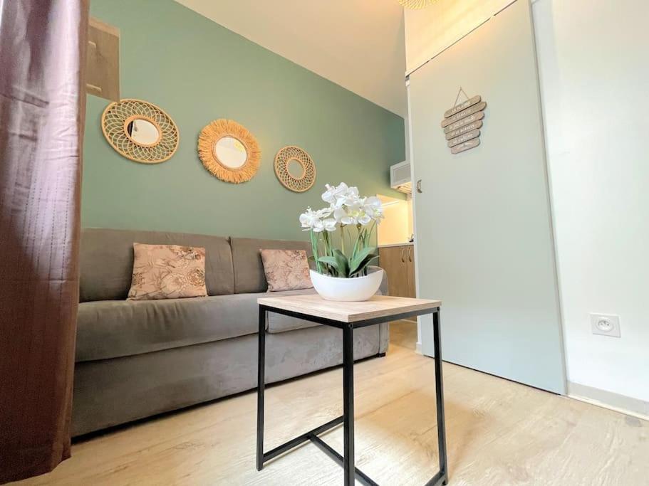 Mini studio 10m2 central & clim Idéal pour une escale à Béziers, Béziers