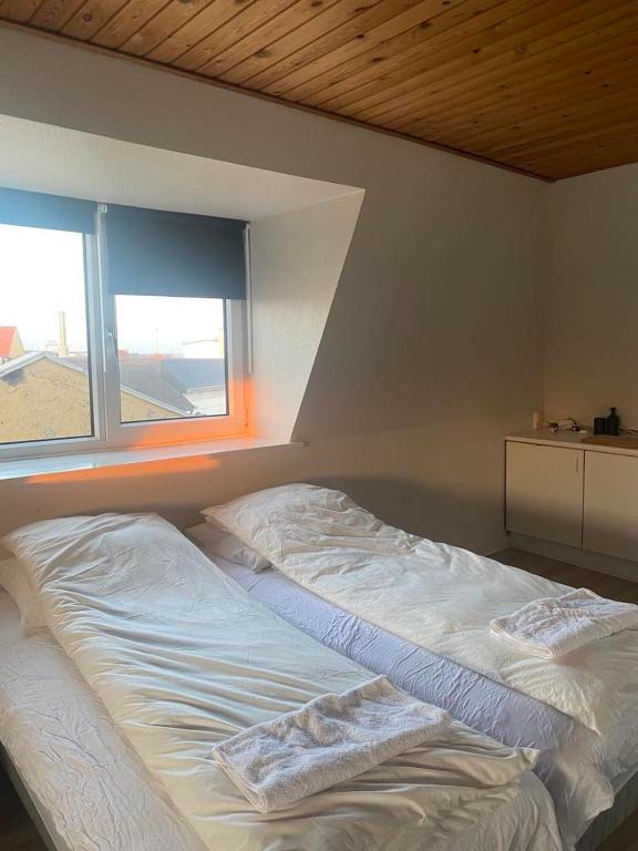 Flot havudsigt, Hirtshals