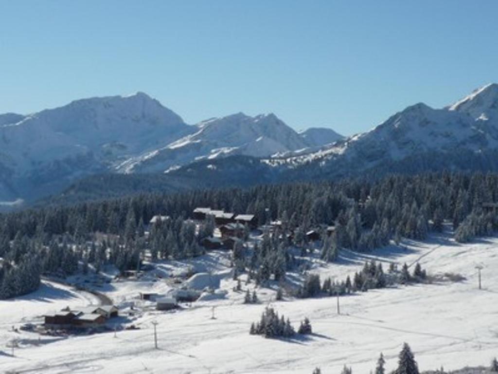 Duplex aux Saisies - 6 pers, Animaux admis, Vue pistes - 4