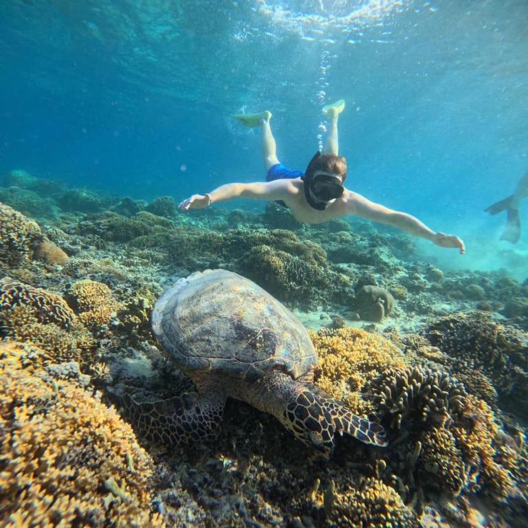 The Mally Homestay 02