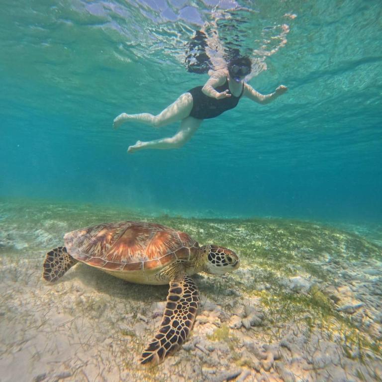 The Mally Homestay 02