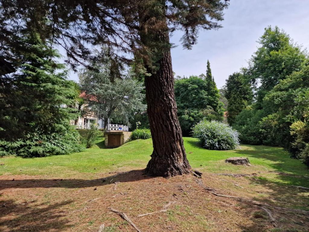 Oasis de la Sierra - 2