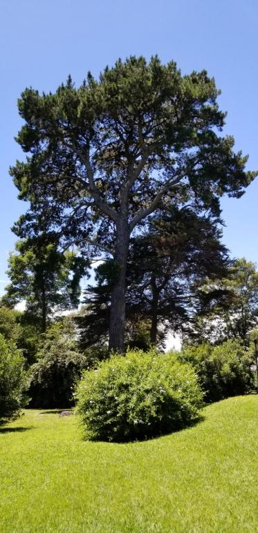 Oasis de la Sierra - 4